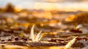 Zachód słońca nad jeziorem Dargin, marzec 2022 r. - zdjęcie 37