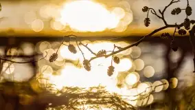 Zachód słońca nad jeziorem Bocznym, Leśna Keja - zdjęcie 7