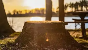 Zachód słońca nad jeziorem Bocznym, Leśna Keja - zdjęcie 39