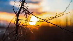 Zachód słońca nad jeziorem Stręgiel - zdjęcie 9