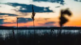 Zachód słońca nad jeziorem Stręgiel - zdjęcie 41