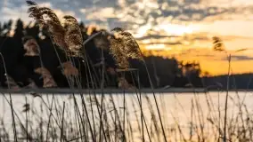 Zachód słońca nad jeziorem Jagodne - zdjęcie 14
