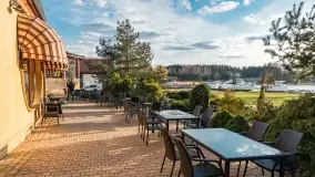 Ognisty Ptak przed kwietniowym zachodem słońca - zdjęcie 20