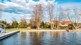 Ognisty Ptak przed kwietniowym zachodem słońca - zdjęcie 14