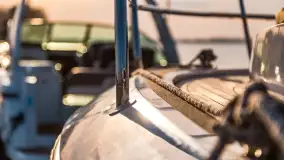 Ognisty Ptak przed kwietniowym zachodem słońca - zdjęcie 32