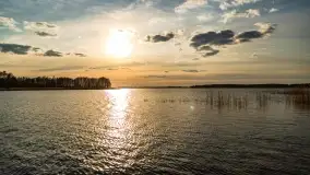 Ognisty Ptak przed kwietniowym zachodem słońca - zdjęcie 19