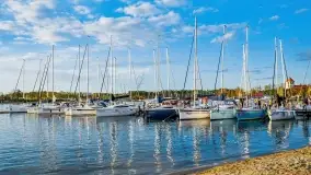 Rozpoczęcie sezonu w Tle Dla Mew, majówka 2022 - zdjęcie 8