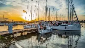 Rozpoczęcie sezonu w Tle Dla Mew, majówka 2022 - zdjęcie 66