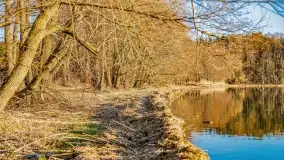 Wieczór i zachód słońca nad Darginem, kwiecień 2022 - zdjęcie 27