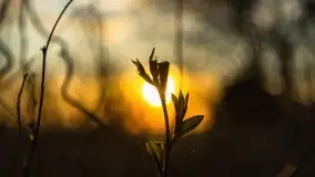 Zachód słońca nad jeziorem Dobskim, kwiecień 2022 - zdjęcie 35