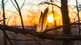 Zachód słońca nad jeziorem Dobskim, kwiecień 2022 - zdjęcie 49