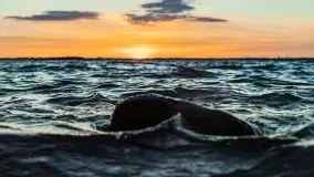 Zachód słońca nad jeziorem Dobskim, kwiecień 2022 - zdjęcie 39