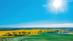 Złote, rzepakowe mazurskie pola z jeziorami w tle - zdjęcie 9