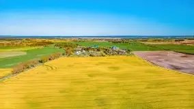 Złote, rzepakowe mazurskie pola z jeziorami w tle - zdjęcie 96