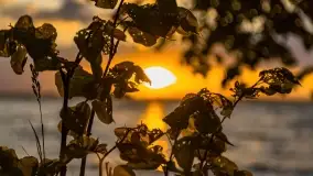 Zachód słońca nad jeziorem Dargin, maj 2022 r. - zdjęcie 28