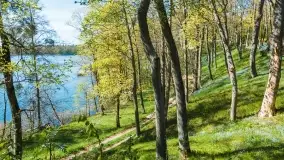 Wiosenne widoki przy jeziorach Ublik - zdjęcie 50