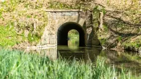 Wiosenne widoki przy jeziorach Ublik - zdjęcie 121