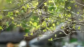 Wiosenne widoki przy jeziorach Ublik - zdjęcie 130