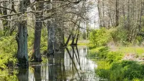 Wiosenne widoki przy jeziorach Ublik - zdjęcie 84