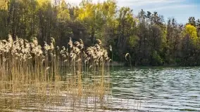 Wiosenne widoki przy jeziorach Ublik - zdjęcie 111