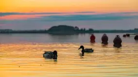 Wschód słońca nad jeziorem Mamry, Stanica Wodna Kietlice, czerwiec 2022 - zdjęcie 8