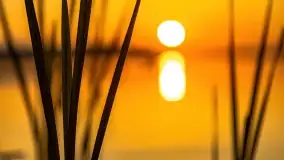 Wschód słońca nad jeziorem Mamry, Stanica Wodna Kietlice, czerwiec 2022 - zdjęcie 26