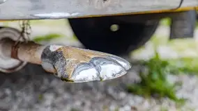 Fotorelacja z Rajdu Koguta w Giżycku 2022 - zdjęcie 24