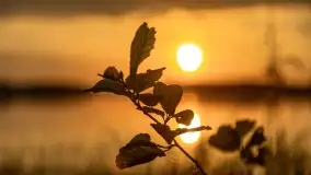 Zachód słońca nad jeziorem Kirsajty, koniec maja 2022 - zdjęcie 19