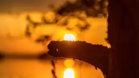 Zachód słońca nad jeziorem Kirsajty, koniec maja 2022 - zdjęcie 44