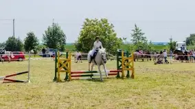 Sulimiada 2022, zobacz naszą fotorelację - zdjęcie 3