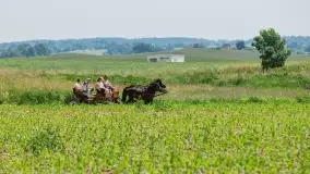 Sulimiada 2022, zobacz naszą fotorelację - zdjęcie 36