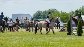 Sulimiada 2022, zobacz naszą fotorelację - zdjęcie 39