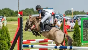 Sulimiada 2022, zobacz naszą fotorelację - zdjęcie 55