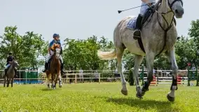 Sulimiada 2022, zobacz naszą fotorelację - zdjęcie 91