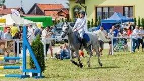 Sulimiada 2022, zobacz naszą fotorelację - zdjęcie 59