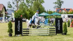 Sulimiada 2022, zobacz naszą fotorelację - zdjęcie 80