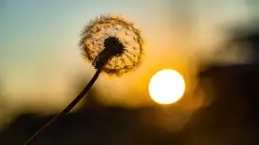 Zachód słońca w porcie AZS Wilkasy - zdjęcie 15