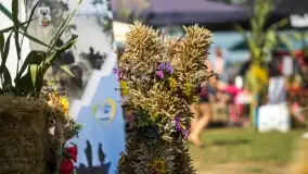 Fotorelacja z dożynek w Nowych Gutach, sierpień 2022 - zdjęcie 60