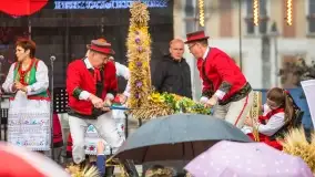 Fotorelacja z dożynek Gminnych w Piszu, Piknik Wołowy - zdjęcie 38