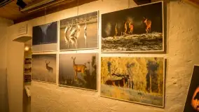 Fotorelacja -  Ogólnopolski Dzień Parków Krajobrazowych w Puszczy Piskiej - zdjęcie 7