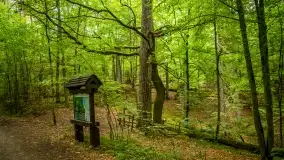 Fotorelacja -  Ogólnopolski Dzień Parków Krajobrazowych w Puszczy Piskiej - zdjęcie 22