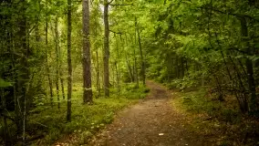 Fotorelacja -  Ogólnopolski Dzień Parków Krajobrazowych w Puszczy Piskiej - zdjęcie 44