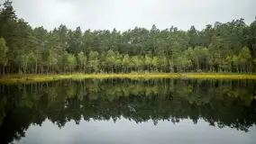 Fotorelacja -  Ogólnopolski Dzień Parków Krajobrazowych w Puszczy Piskiej - zdjęcie 50