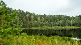 Fotorelacja -  Ogólnopolski Dzień Parków Krajobrazowych w Puszczy Piskiej - zdjęcie 32