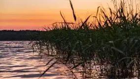 Czerwcowy zachód słońca nad jeziorem Kisajno - zdjęcie 34