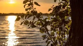 Zachód słońca nad jeziorem Przystań, czerwiec 2022 - zdjęcie 34