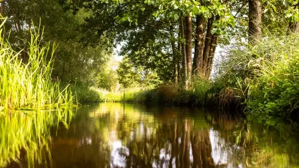 Szczytno i okolice na zdjęciach Marty Sotnik, 2022 - zdjęcie 8