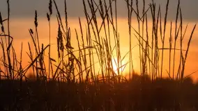 Wiosenny zachód słońca w okolica jeziora Stręgiel - zdjęcie 21