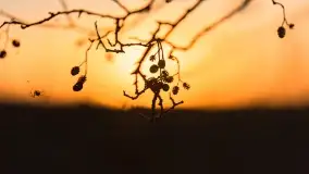 Wiosenny zachód słońca w okolica jeziora Stręgiel - zdjęcie 24