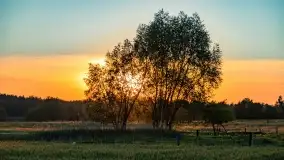 Wiosenny zachód słońca w okolica jeziora Stręgiel - zdjęcie 5